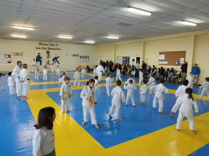 ad-judo-111224161031