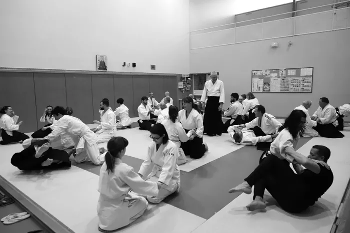 aikido-081224161028