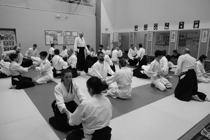 aikido-081224161029