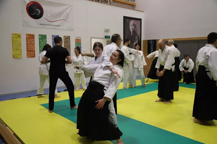 aikido-081224161034