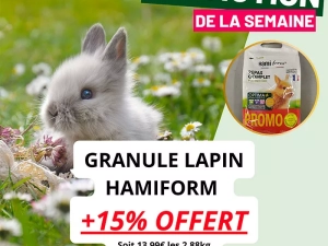 animalerie-071224