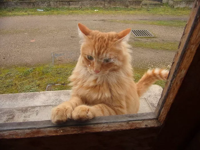 chat-2012224