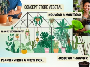 CONCEPT-STORE-VEGETAL-241224
