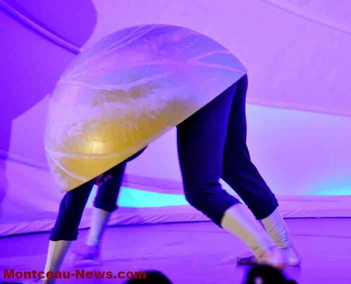 coquille-ecla-201224161032