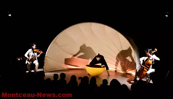 coquille-ecla-201224161035