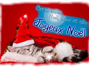 jpl-noel-241224