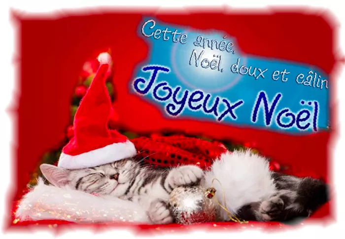 jpl-noel-241224