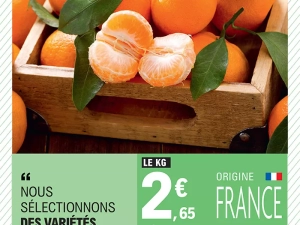 leclerc-clementine-101224