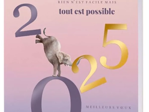 ligue-cancer-311224