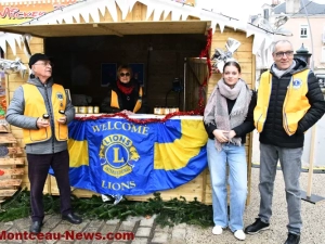 lions-miel-151224161025