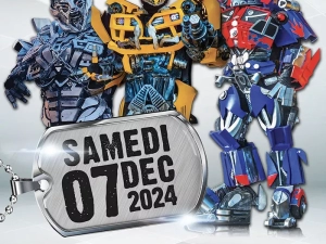transformeur-061224