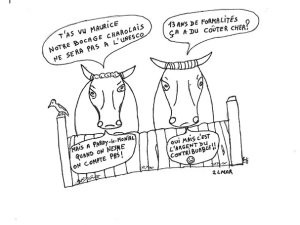 vache-humour-131224