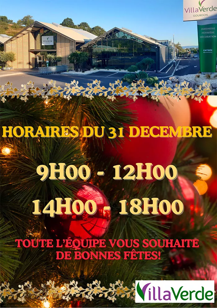 villa-29122411