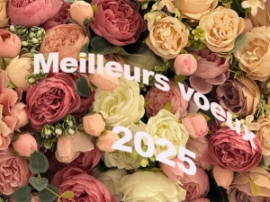 voeux-2025-0101252