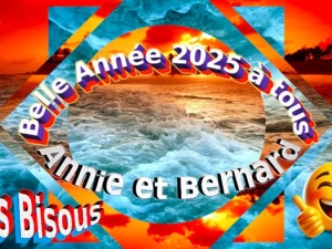 voeux-lecteur-311224