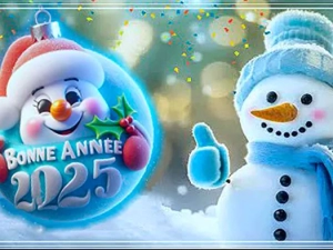 voeux-lecteur-3112242