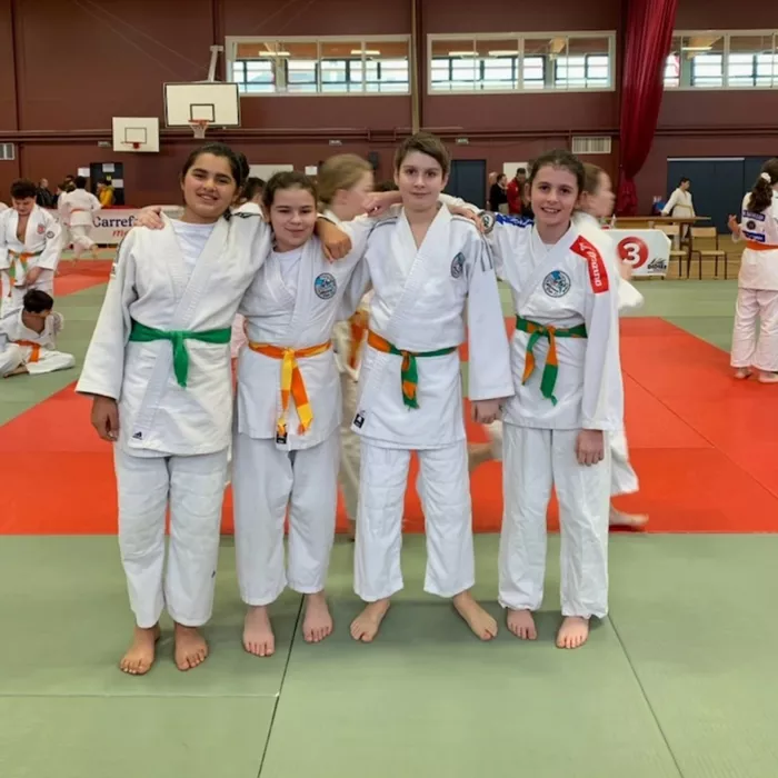ad-judo-140125161026
