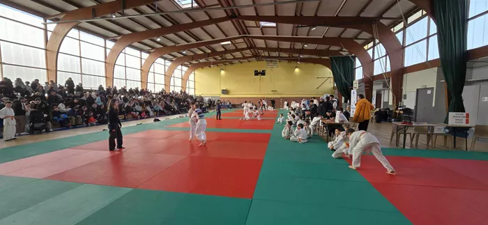 ad-judo-290125161065