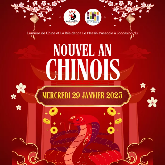 chinois-310125161027