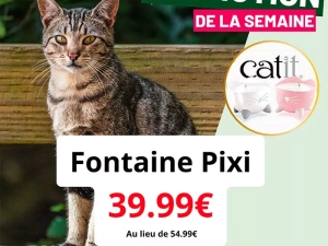 villaverde-chat-051225