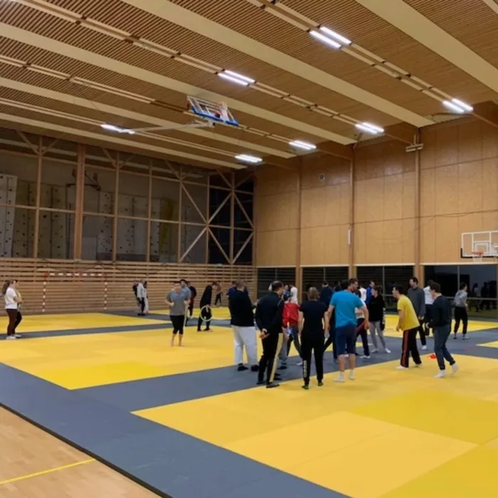 ad-judo-130225161026
