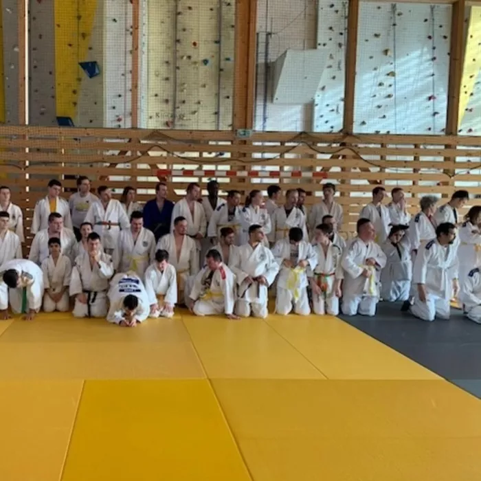 ad-judo-130225161027