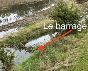 barage-040225