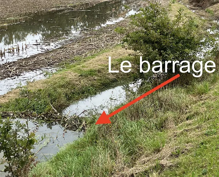 barage-040225