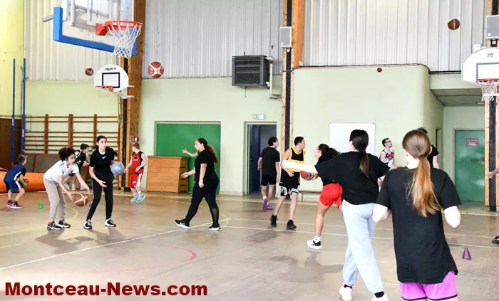 basket-270225161036