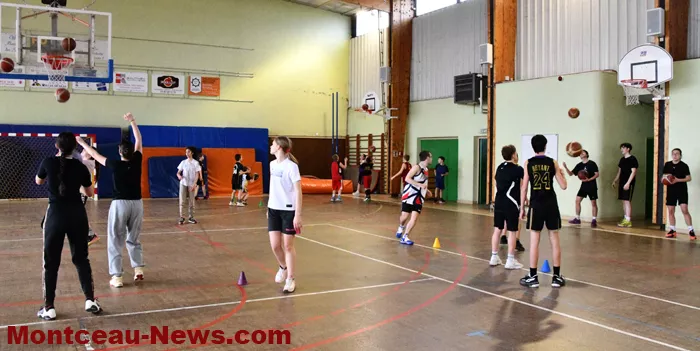basket-270225161046