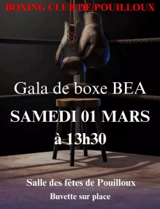 boxe-280225