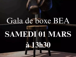 boxe-280225