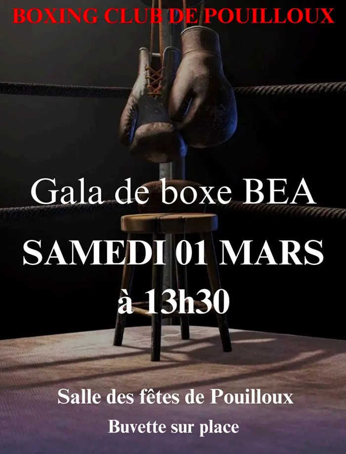 boxe-280225