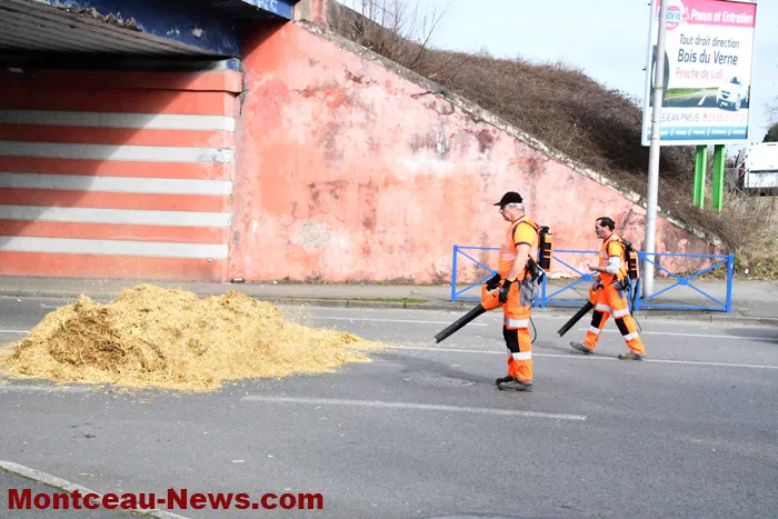 camion-paille-210225161032