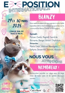 Concours de Beauté Félin à Blanzy
