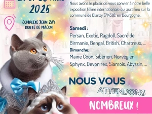 chat-120225