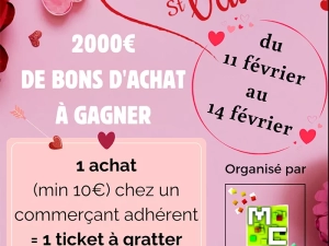 commerce-valentn-110225