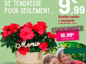 grand-mere-2102251