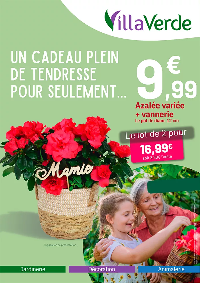grand-mere-2102251