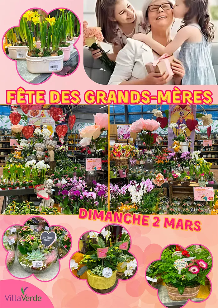 grand-mere-2102252