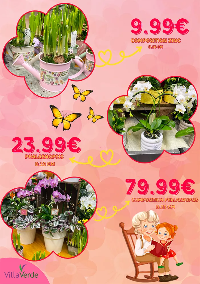 grand-mere-2102253