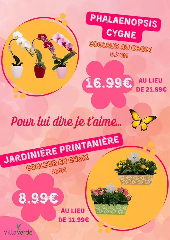 grand-mere-2102254