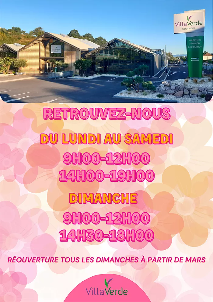 grand-mere-2102255