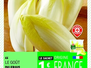 leclerc-240225