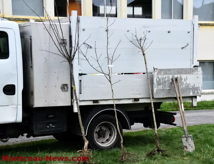 arbre-ecole-220325161024