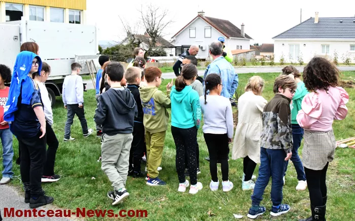 arbre-ecole-220325161025