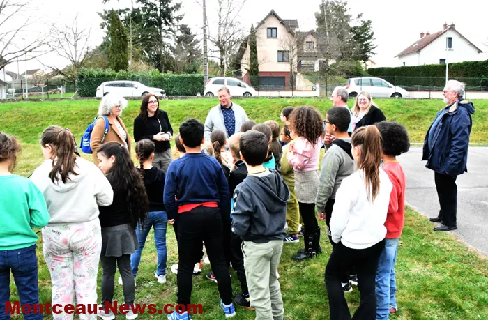 arbre-ecole-220325161027