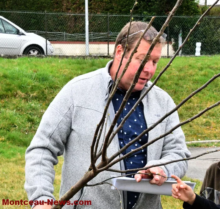 arbre-ecole-220325161028