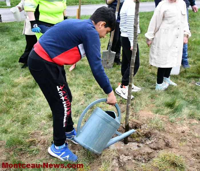 arbre-ecole-220325161032