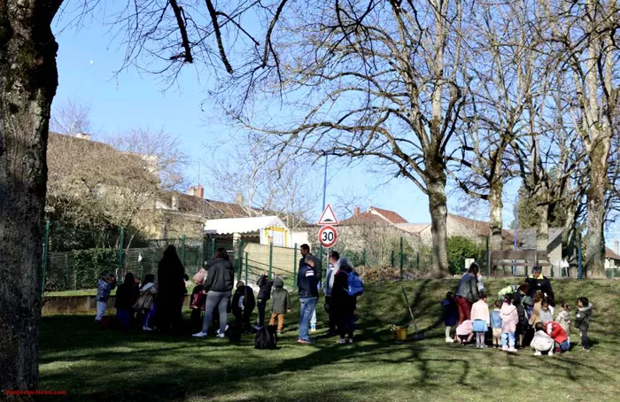 arbre-ecole-220325161036
